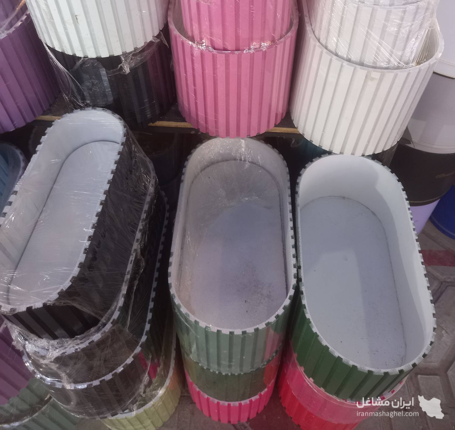 کارشناس و مشاور گل و گیاه باران در اصفهان