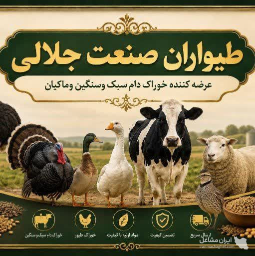 تولید و پخش خوراک دام و طیور جلالی جاده نجف آباد به اصفهان