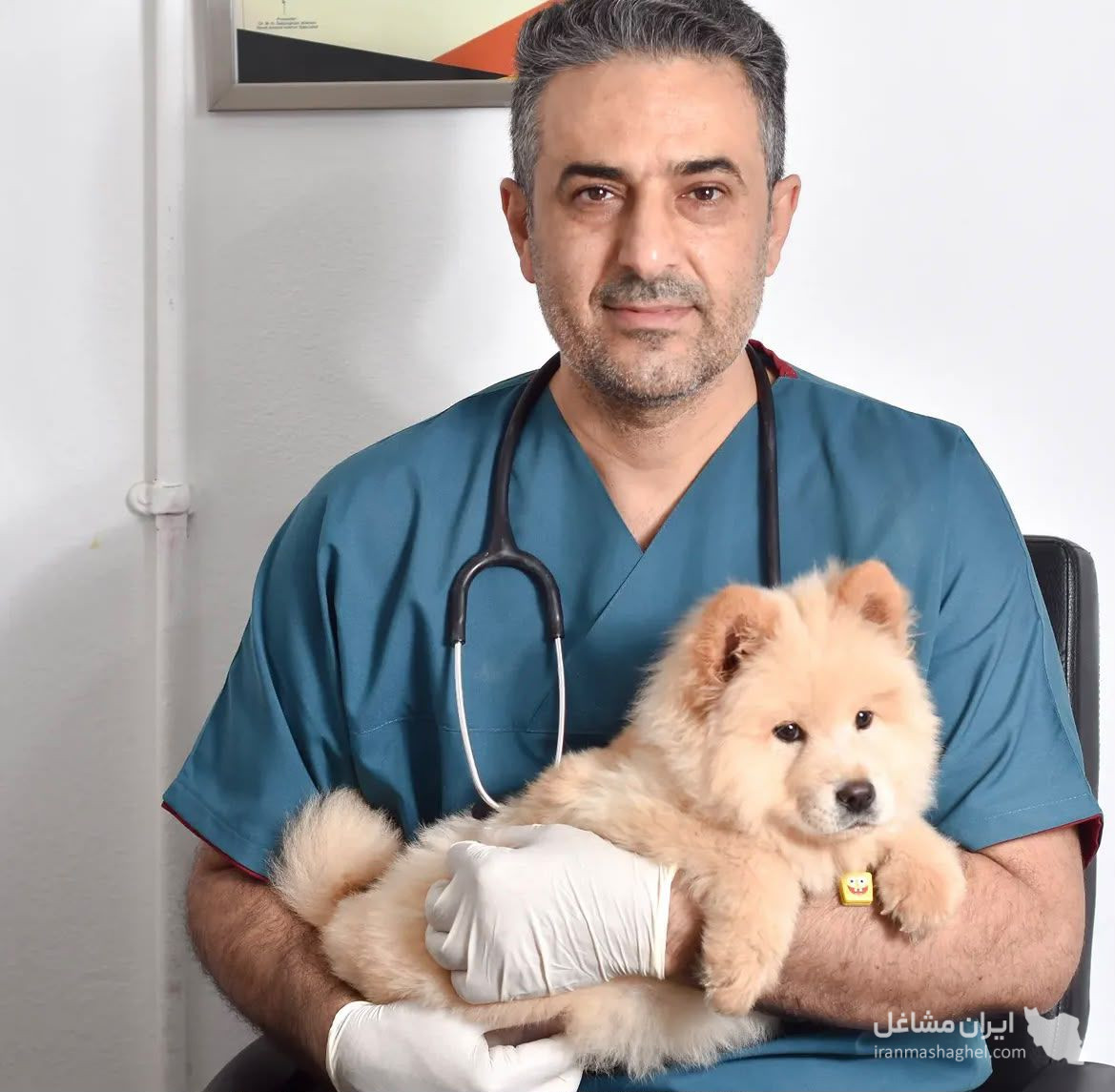 کلینیک دامپزشکی دکتر مهدی قنبریان در بوشهر