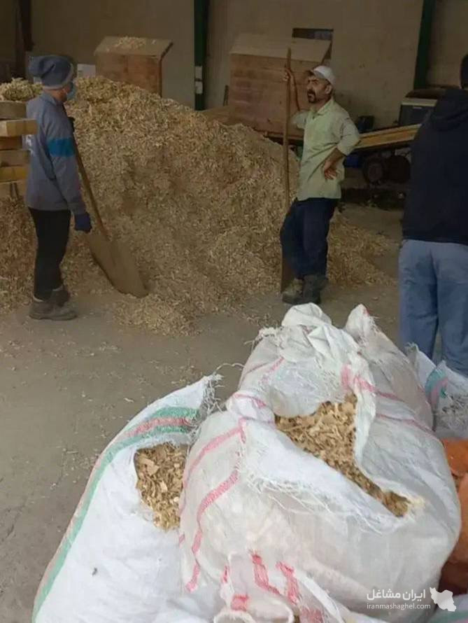 تولید و فروش پوشال چوب و خاک اره چوبین راش در لاهیجان