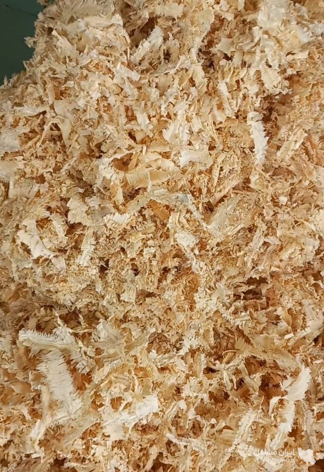 تولید و فروش پوشال چوب و خاک اره چوبین راش در لاهیجان