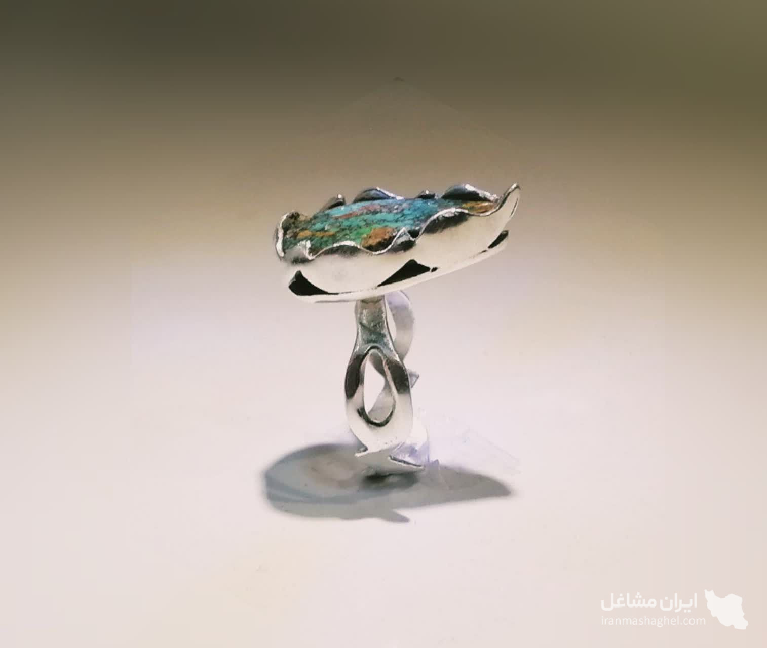 نقره سازی دنیا در یزد
