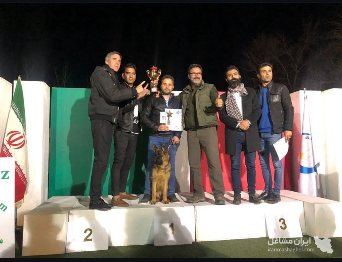 پانسیون آموزش و تربیت سگ gemkennel در رفسنجان