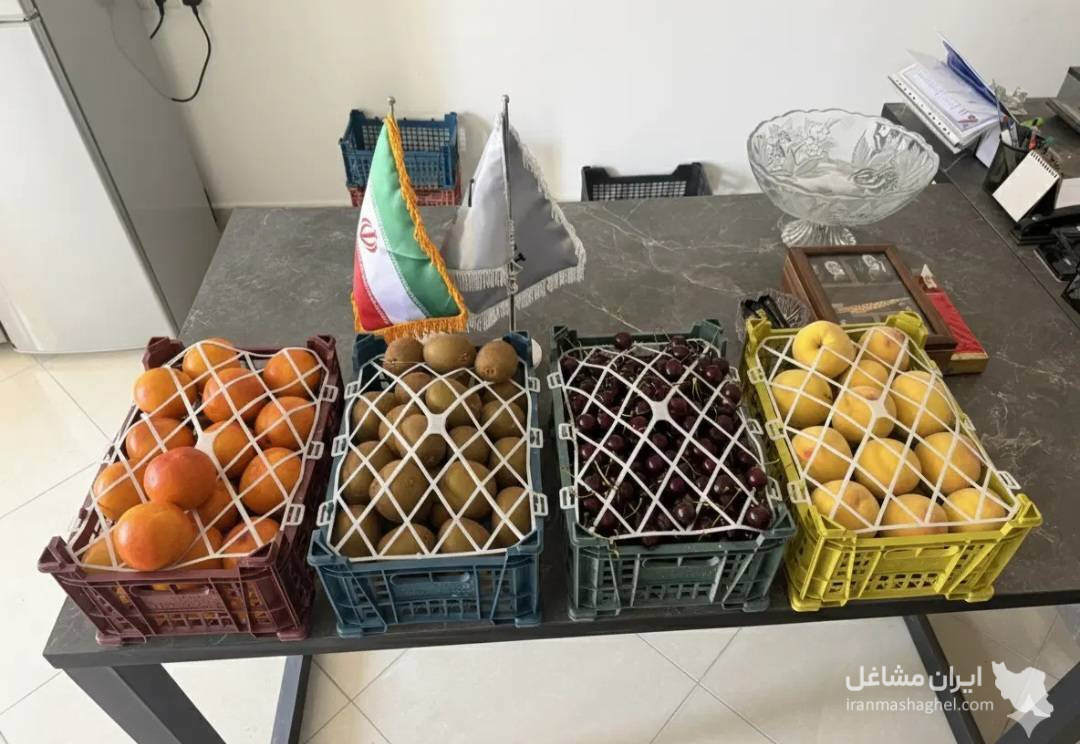 کارخانه سبدسازی تک پلاست در مراغه