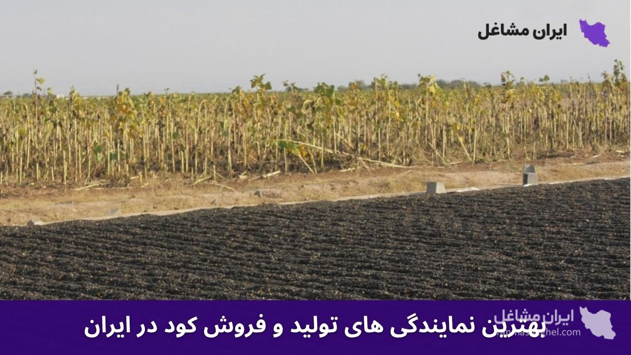 بهترین نمایندگی های تولید و فروش کود در ایران