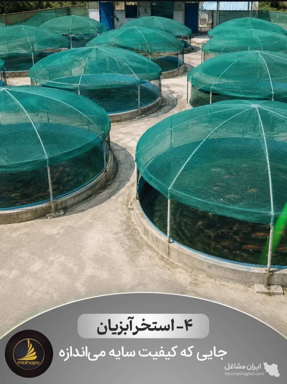 عمده فروشی توری راشل مهاجر وکیل زاده در ساوه