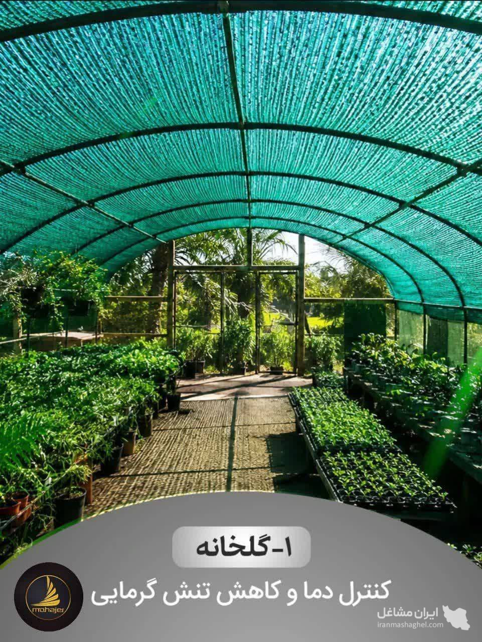 عمده فروشی توری راشل مهاجر وکیل زاده در قم
