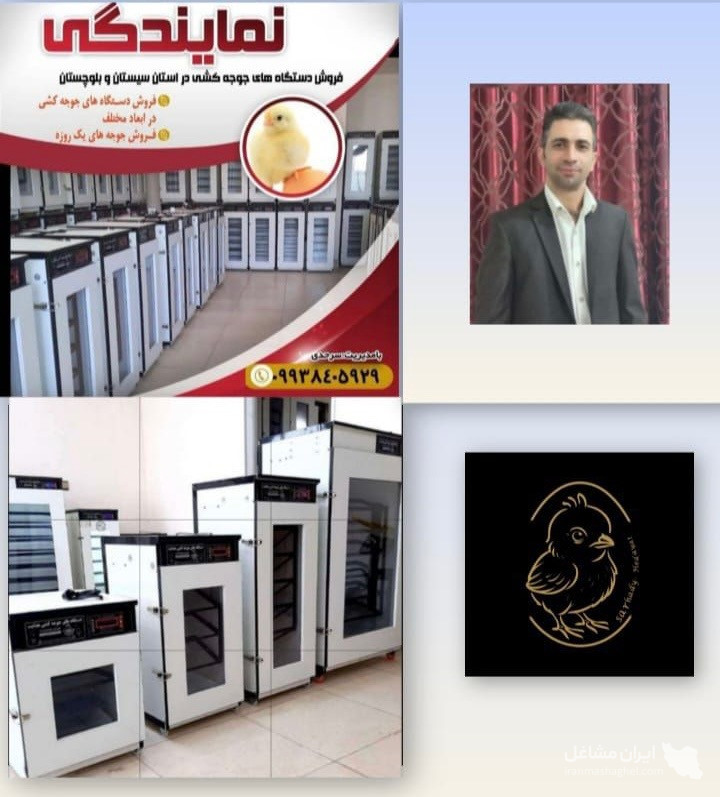 نمایندگی فروش و پخش دستگاه جوجه کشی خانگی و صنعتی هدایت در زاهدان