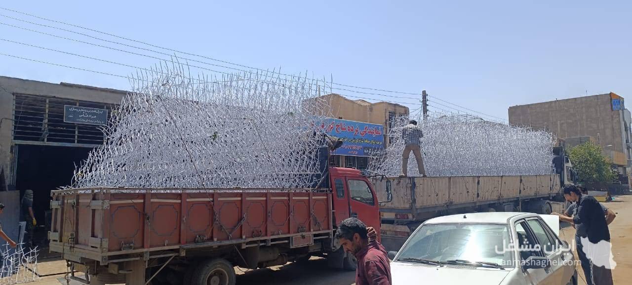نمایندگی حفاظ شاخ گوزنی ایمن سازان آرمین در زاهدان