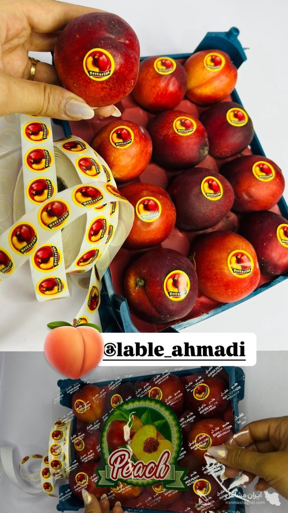 پخش لیبل احمدی در ارومیه