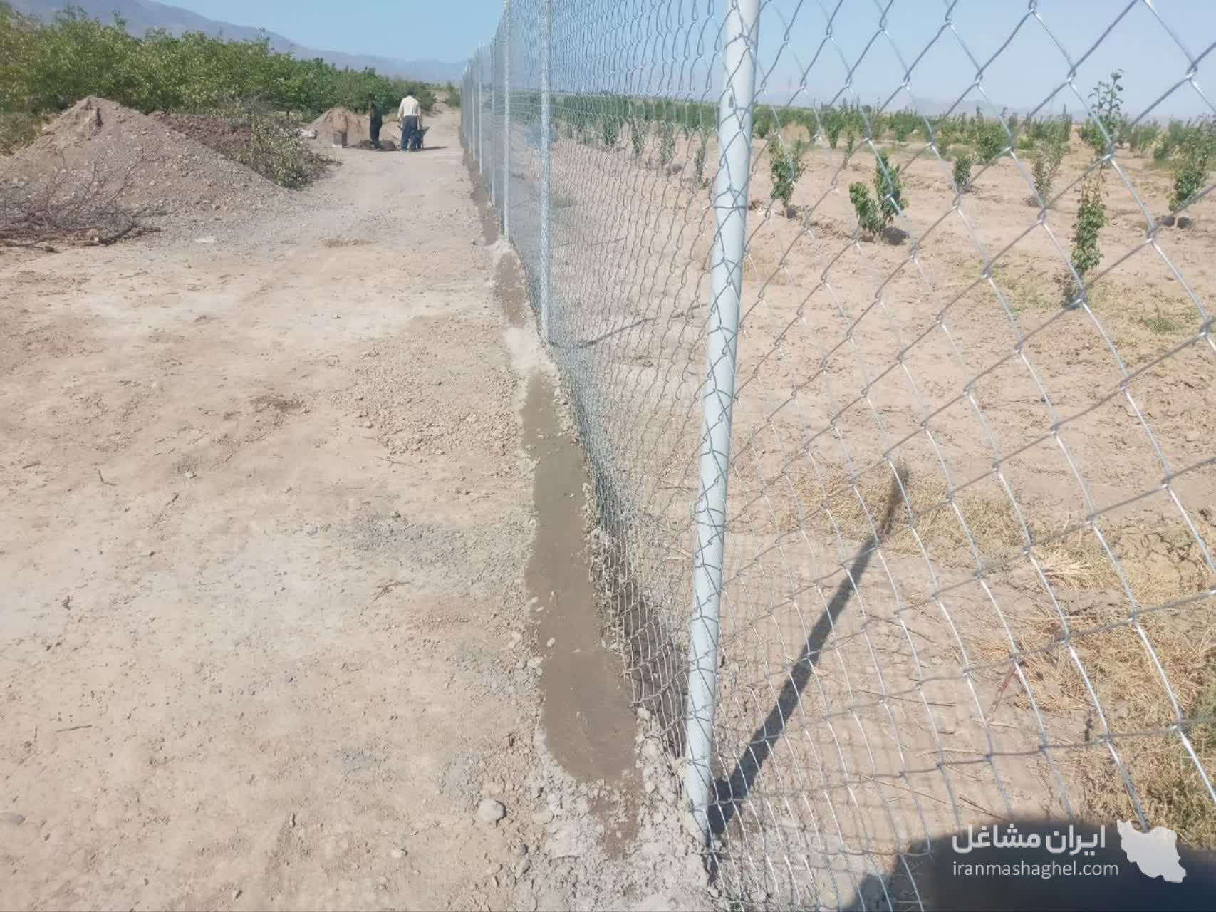 فنس توری نورمحمدی شاهرود