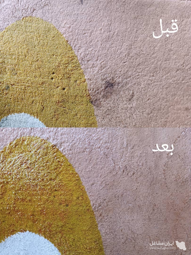 قالیشویی بانوان در فومن