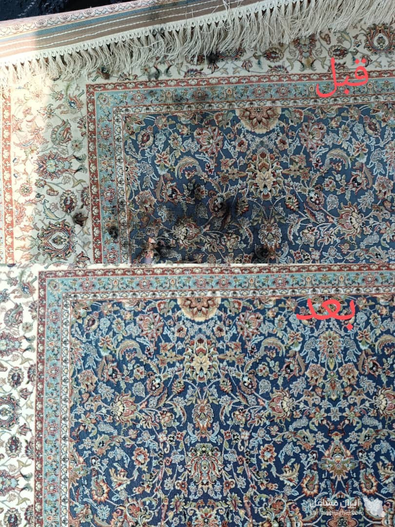 قالیشویی بانوان در فومن