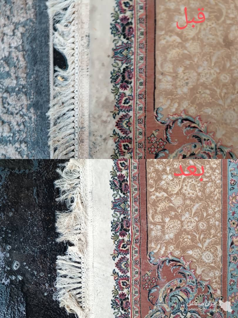 قالیشویی بانوان در فومن