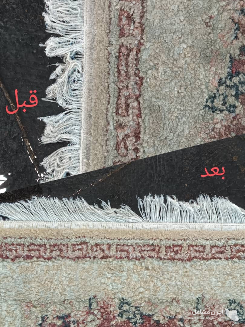 قالیشویی بانوان در فومن