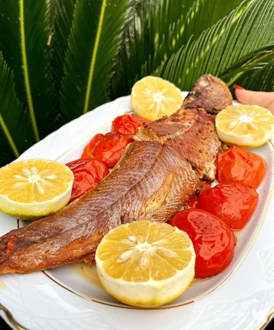 مجموعه گردشگری دهکده کاسکولی در رحیم آباد گیلان