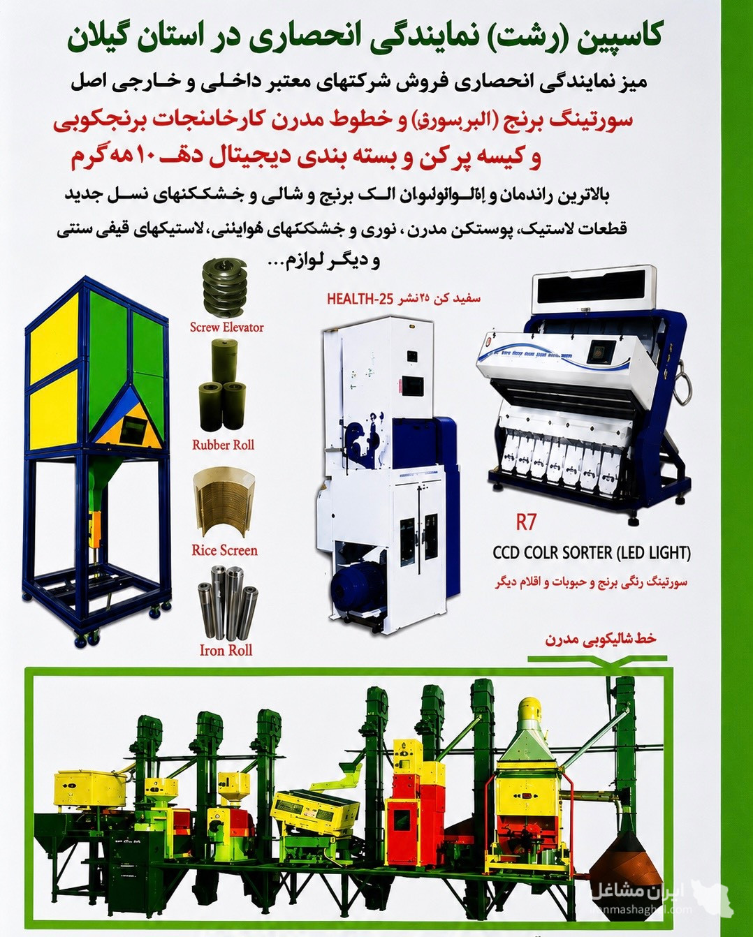سورتینگ برنج و حبوبات شرکت کاسپین سورت رشت