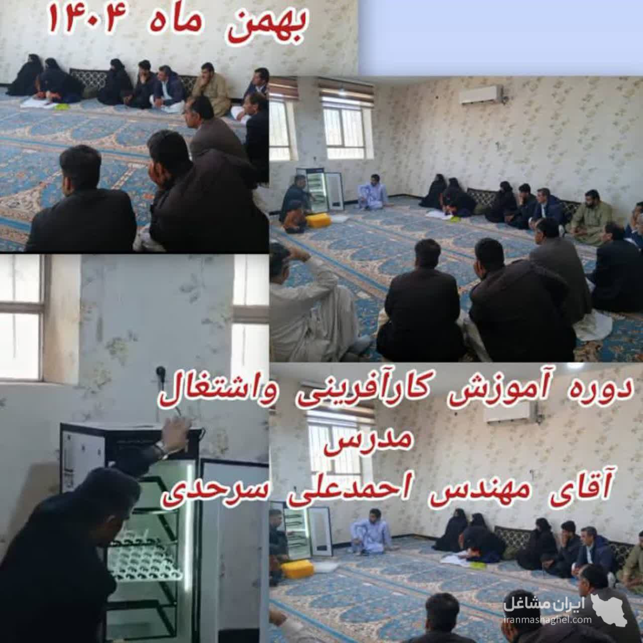 نمایندگی فروش و پخش دستگاه جوجه کشی خانگی و صنعتی هدایت در زاهدان