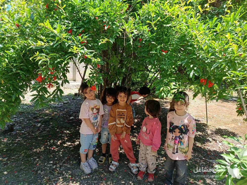 کودکستان ارکیده در گرگان