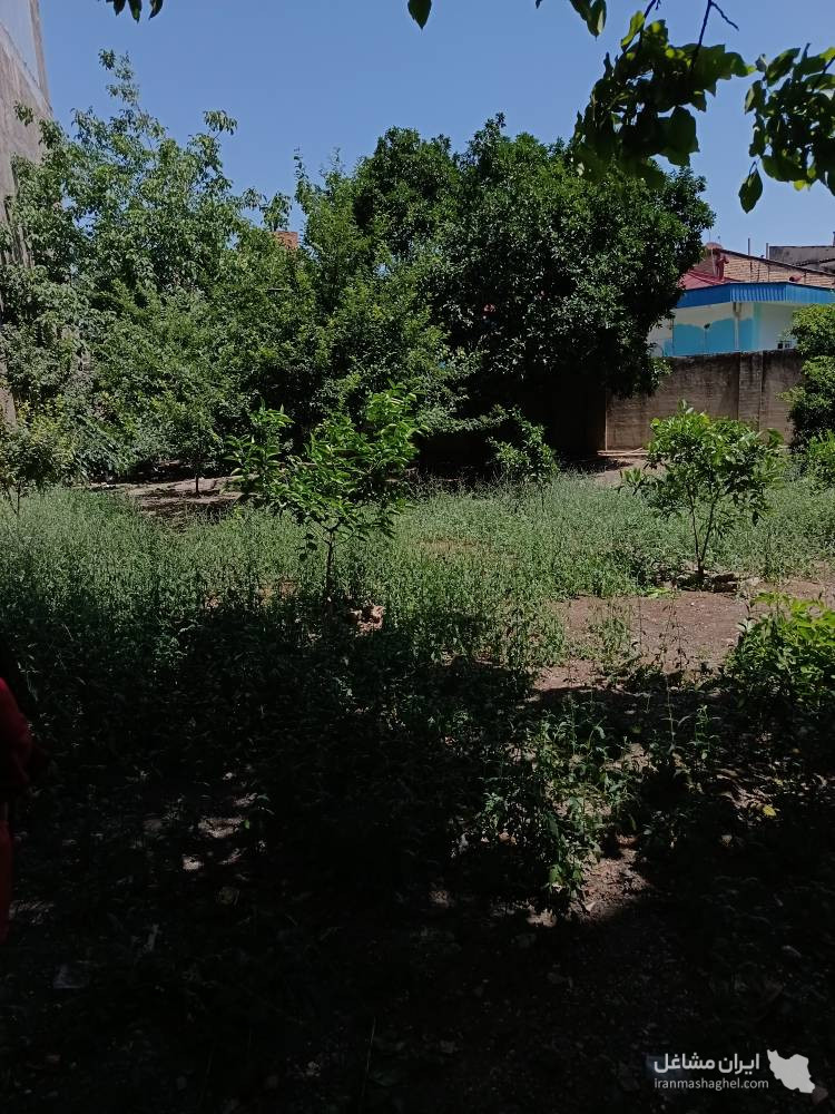 کودکستان ارکیده در گرگان