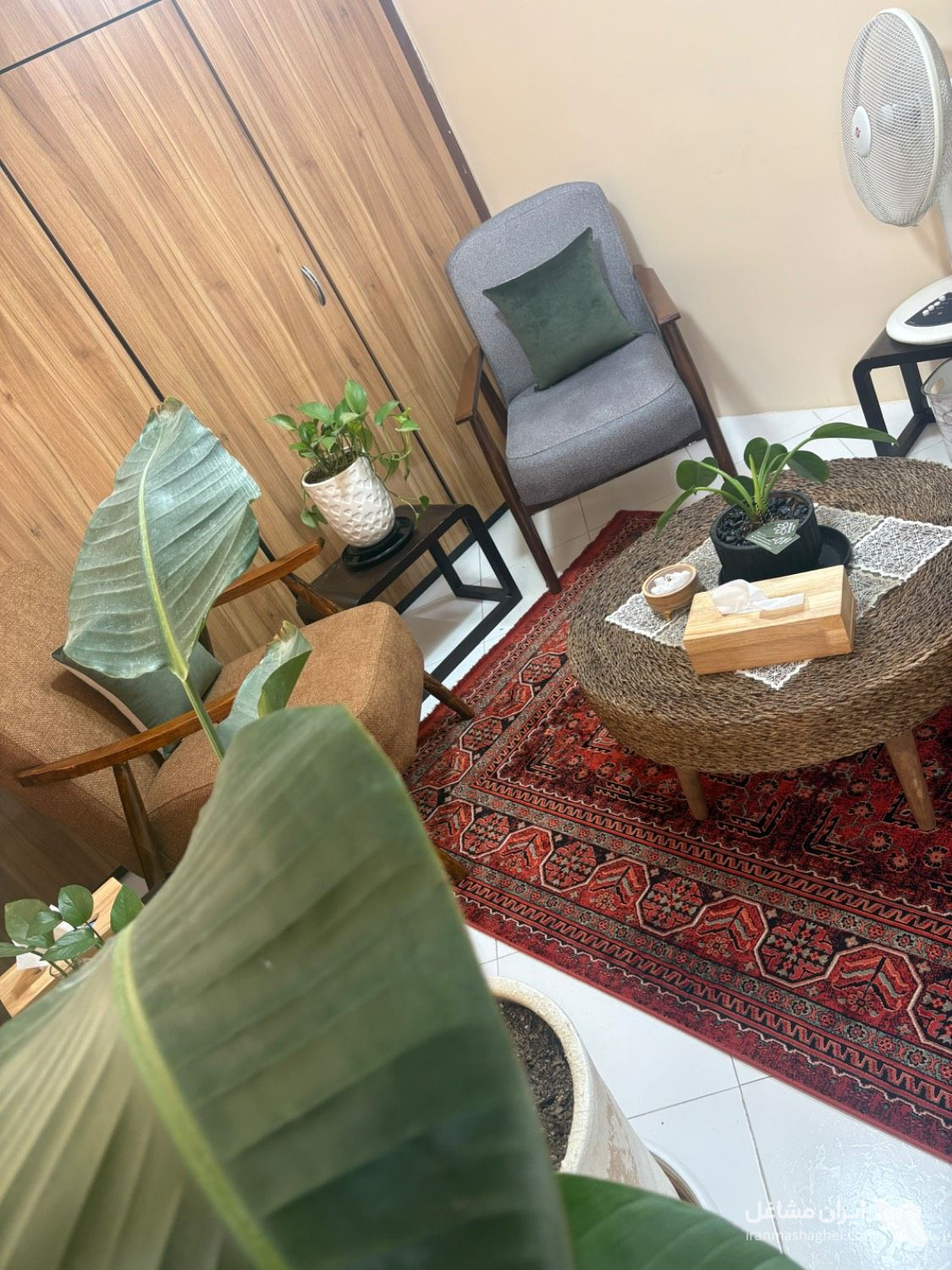 کلینیک روانشناسی پناه آفرینان رها به مدیریت دکتر شاکری در مشهد