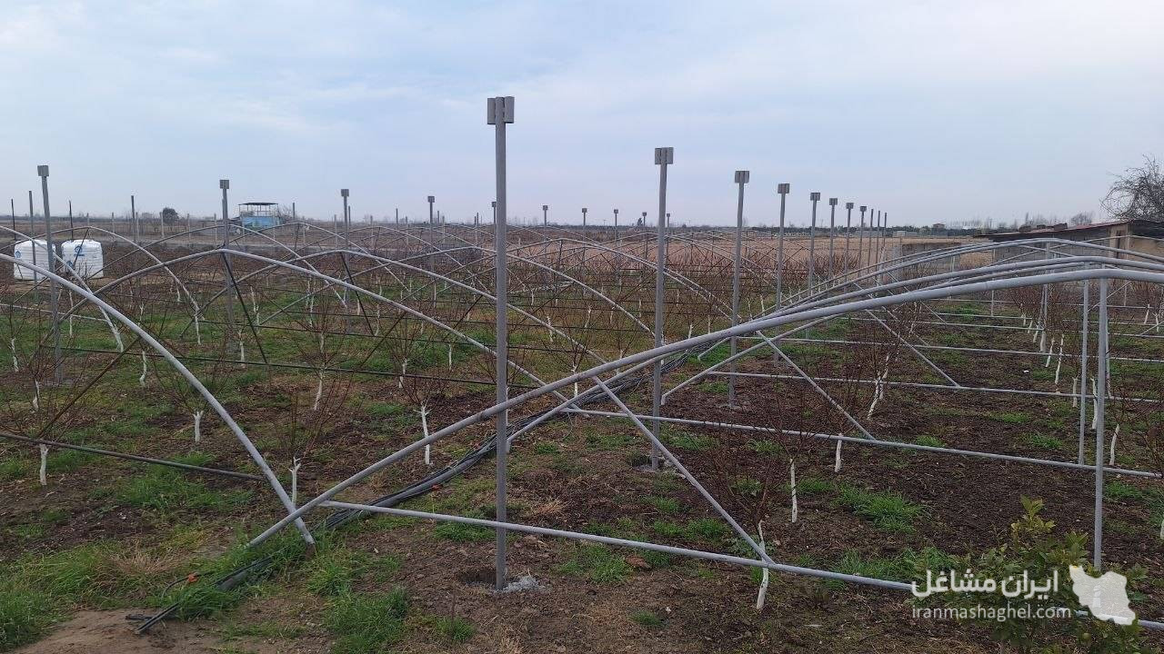 نصب سازه های گلخانه رضایی در ساری