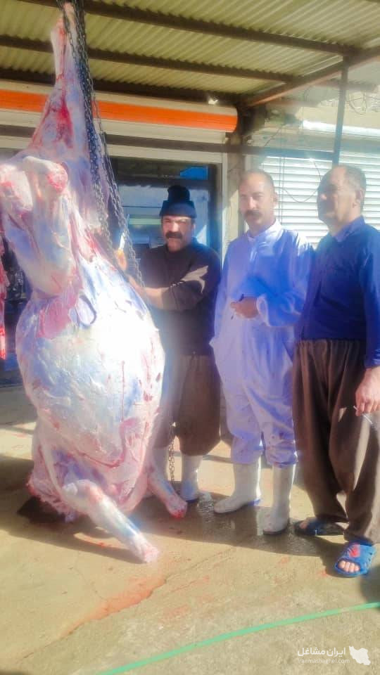 قصابی حاج مرتضی کرمی در گیلانغرب